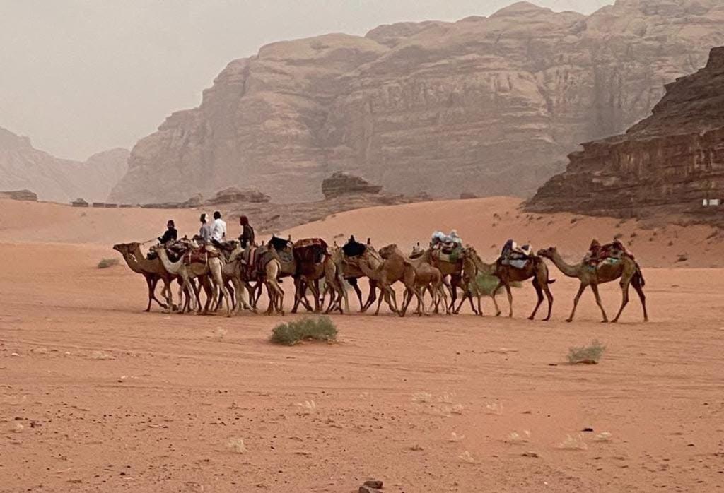 Wadi Rum Trail ภายนอก รูปภาพ