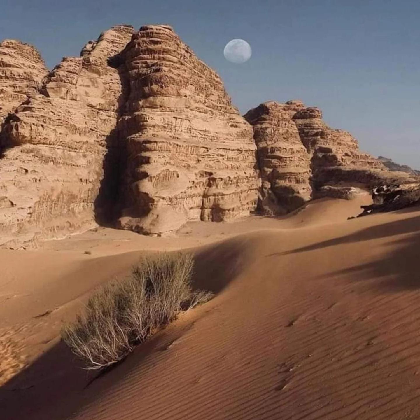 Wadi Rum Trail ภายนอก รูปภาพ